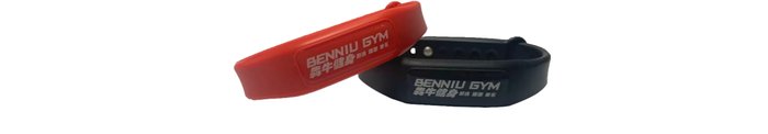 WB-012 RFID Silicone Wristband mold