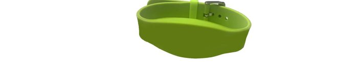 WB-028 RFID Silicone Wristband mold