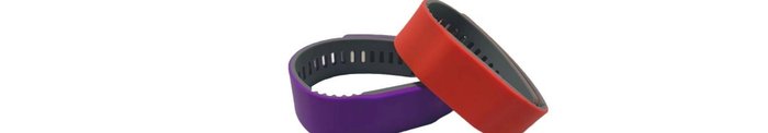 WB-032 RFID Silicone Wristband mold